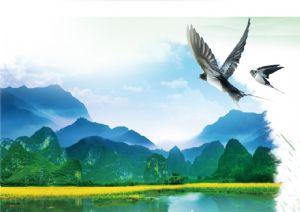 聚焦高考&mdash;&mdash;綠水青山，我們押中了！